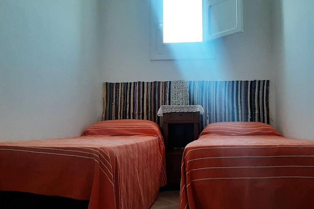 Cammini Di Sale Casa Vacanze Tra Le Saline Torre Nubia ภายนอก รูปภาพ