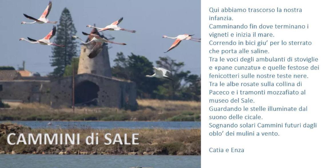 Cammini Di Sale Casa Vacanze Tra Le Saline Torre Nubia ภายนอก รูปภาพ